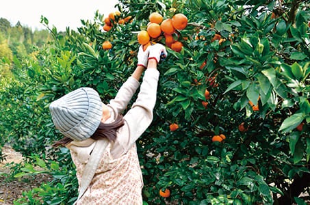 【基本プラン】「リゾナーレ下関」(1泊目)にご宿泊 世界遺産萩・山陰の小京都津和野・日本三景宮島4日間1